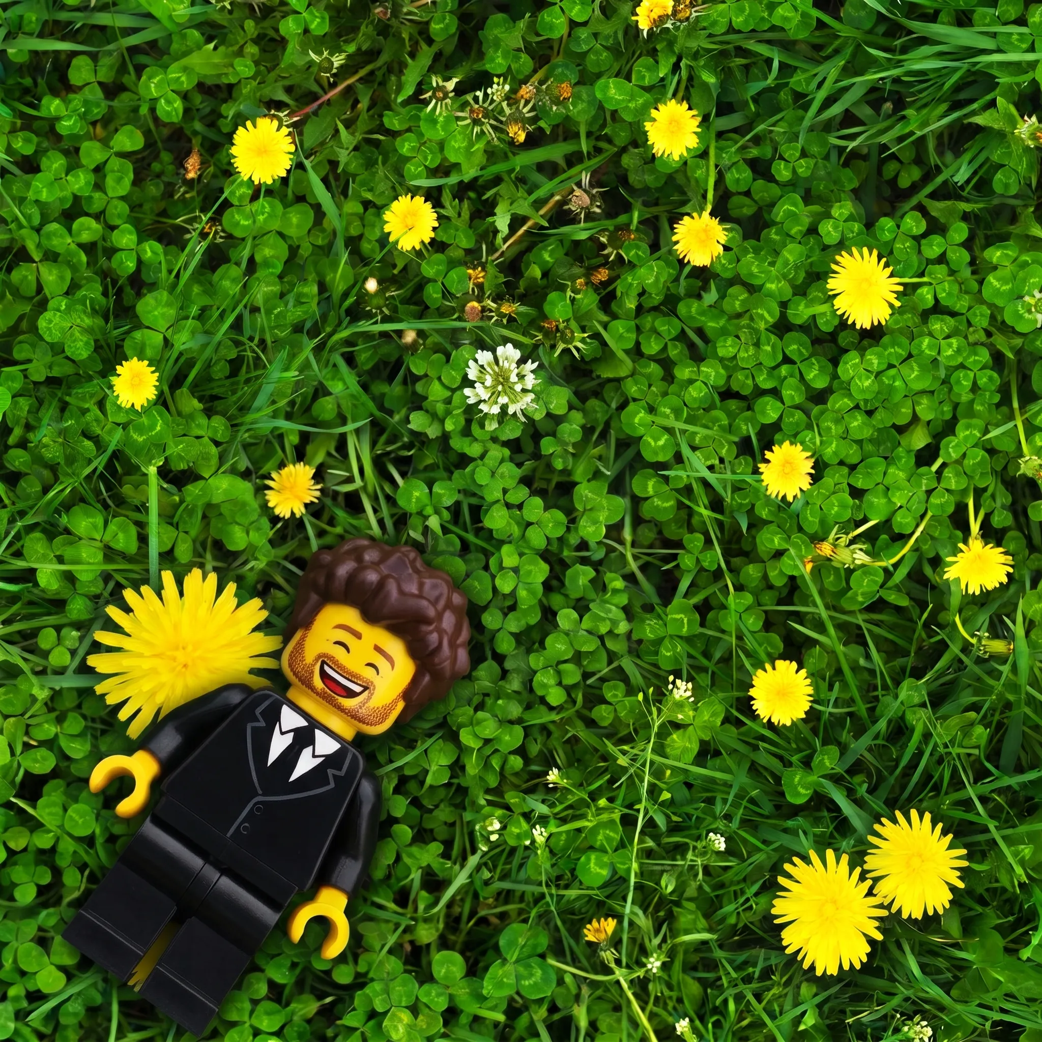 Lego Blocks single cover